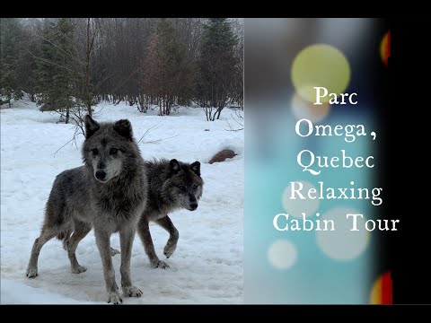 Parc Omega Part l - Cabin Tour