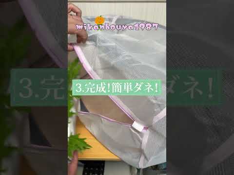 家庭菜園アイデア｜DAISOグッズで防虫ネットの作り方｜水耕栽培時に便利｜超簡単作成