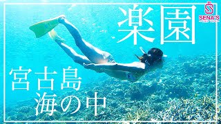 【世界に誇れる宮古島の海】楽園の海ヤビジのシュノーケリングツアーを紹介！