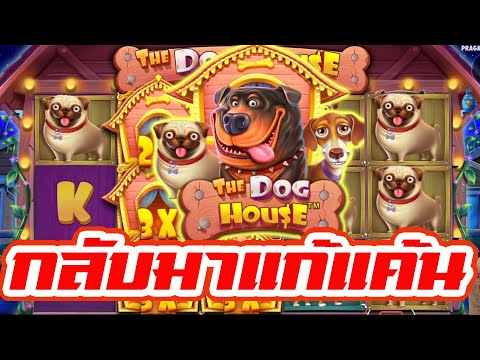 Siam66 :  สล็อตPP The Dog House กลับมาแก้แค้น!!!