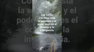 Job 12:13#job12:13 #jesus #versiculobiblico #biblia