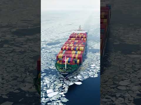 What is the Blue Economy? #sustainability