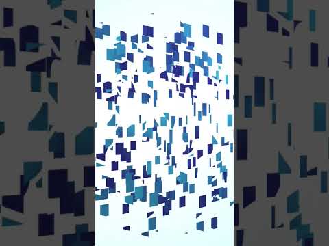 binary tech - software developer