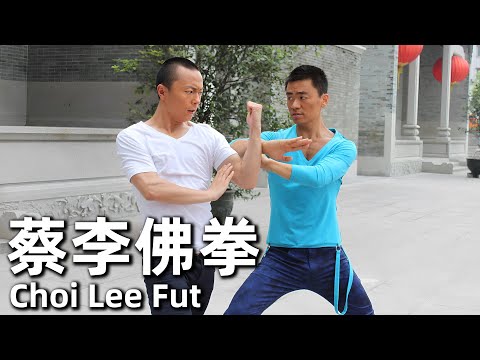 Choi Lee Fut (2011) 480P Action martial arts and its joy!