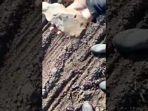 AWESOME  HOE  and flakes directly off the manufacture #amazing #incredible #perfect