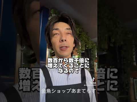 アクアリウムで有名な病気『白点病』とは！？ #金魚屋 #国産金魚 #めだか #メダカ #金魚