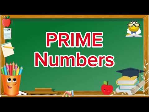 Prime Numbers 1 to 100 | 1 to 100 Prime Numbers