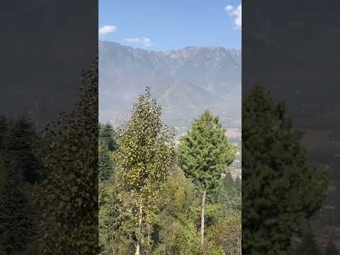 #nature lover and falk song lovers #nature lover and falk song lover boy #nature lover and falk song
