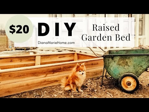 DIY Raised Garden Beds ONLY $20 | Diana Marie Home