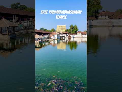 Sree Padmanabhaswamy Temple #thiruvananthapura #kerela #bharat #padmanabhaswamy #temple