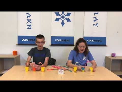STEM Time with Sophie and Gage: Heart