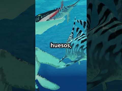 ¿QUIÉN GANARÍA? Pliosaurus vs Tiburón Ballena #batallaépica #animales #dinosaurios