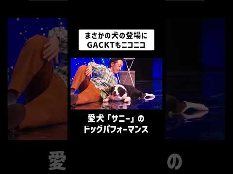 【Japan's Got Talent】セミファイナル『伊藤哲朗＆サニー』 #shorts