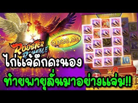 ทุน 3,000 จะปังหรือพังในเกมไก่แจ้?