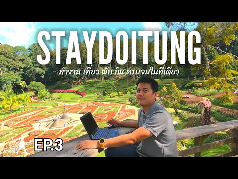 ไปไหนก็ได้ [EP.3] ทำงาน เที่ยว พัก กิน ครบจบในที่เดียว กับกิจกรรม StayDoitung