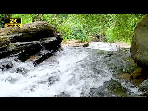 Relaxing Music with Nature Sounds  Waterfall | 2K FHD | Copyright Free Music | Copyright Free Video