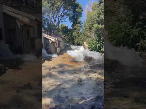 Universal Studios Hollywood | Studio Tour - Flash Flood #film #movie #movies #specialeffects