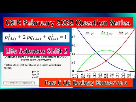 Part C || Question 3 II CSIR February 2022 Shift 2 || Ecology Numerical || Hardy Weinberg Question