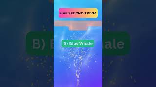 Brain Teasers #4: How Many Did You Get Correct? | Brain Teasing Shorts!