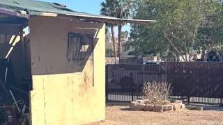 ‘Fixer-upper’ duplex to get upgrades with North Las Vegas curb appeal grant