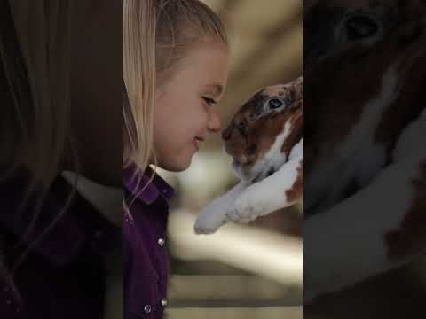 Healthy & Happy Rabbits: Standlee Premium Forage in Action
