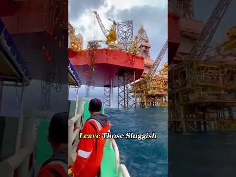 Why Fish Love Hanging Out Under Toilets#Knowle#OceanLife#FishingLife