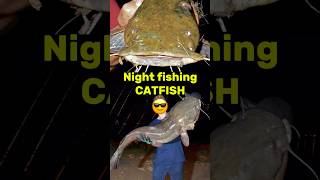 How To Catch Catfish At Night!