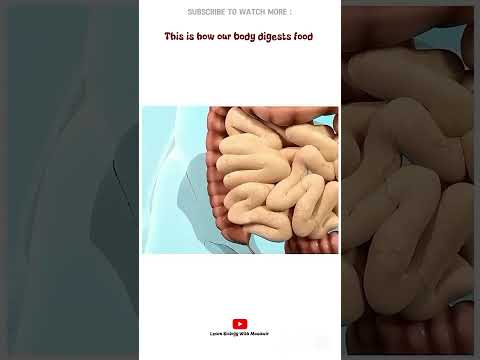 This is how our body digests food 🤯