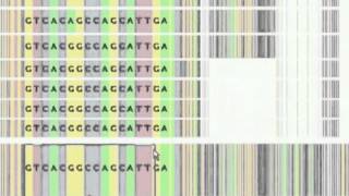 SequenceJuxtaposer: Fluid Navigation For Large-Scale Sequence Comparison In Context