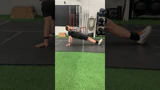 Reverse Plank