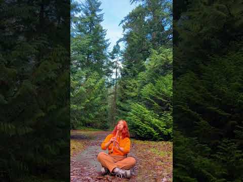 Calm Your Heart with Peaceful Native American Flute - Relaxing Music #shorts