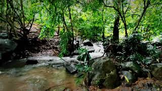 Travel Vlog | Dabarkhola waterfall Odisha | Badamba | Rainy season | Monsoon