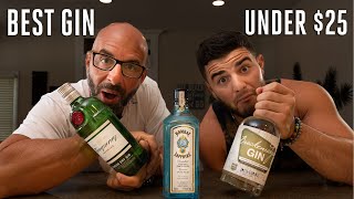 What's the best GIN on a budget? (Liquor under $25)