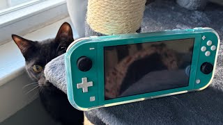 The switch lite the best deal in gaming?