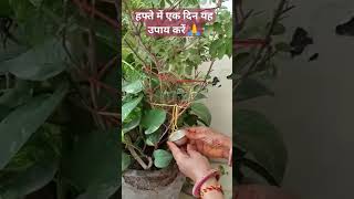 #panditpradeepmishraji #pradeepmishraji #katha #pradeepmishrajilive #upay #pradeepmishra #live