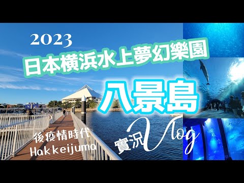 【日本八景島一日Vlog】2023秋 八景島旅遊真實體驗實況.金澤八景.水上博物館.海洋動物表演秀.海豚夢幻館.Surf Coaster(Leviathan).海洋天堂塔.天堂遊輪.