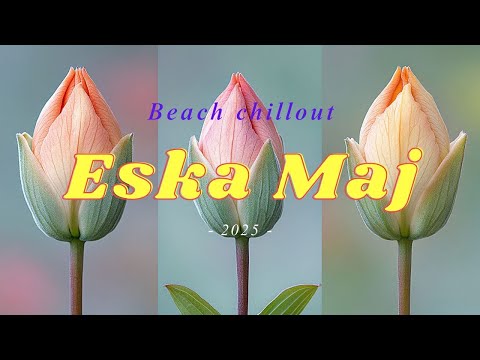 Eska Hits Maj 2025 i Letnie Hity Idealne na Słoneczne Dni i Tropikalne Wyjazdy