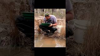 Klesh Australia Gold Mining #shorts