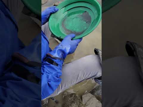 Test Panning Finds the High Grade Gold in Gravel Bar #goldmining #goldpanning