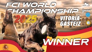 Winner / 33. FCI IGP World Championship 2025 / Susan Miller / Nati's Empower Nyles / working-dog