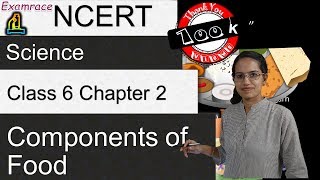 NCERT Class 6 Science Chapter 2: Components of Food (NSO/NSTSE/Olympiad) doorsteptutor.com