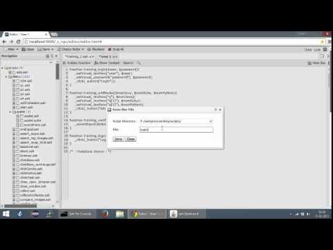 4. An introduction to Sahi script editor