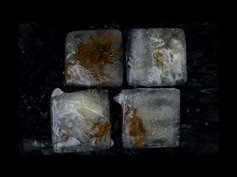 metamorphosis 4  clip 1