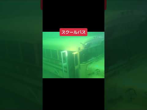奇妙な場所で見つかったもの #shorts #wisdom #tiktok