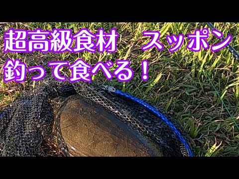 高級食材釣ったから、高級料理フルコースにして食ったった