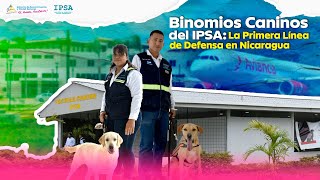 Binomios Caninos del IPSA: La Primera Línea de Defensa en Nicaragua