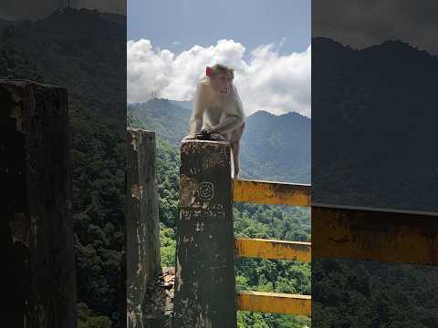Wayanad churam 😍 #shorts