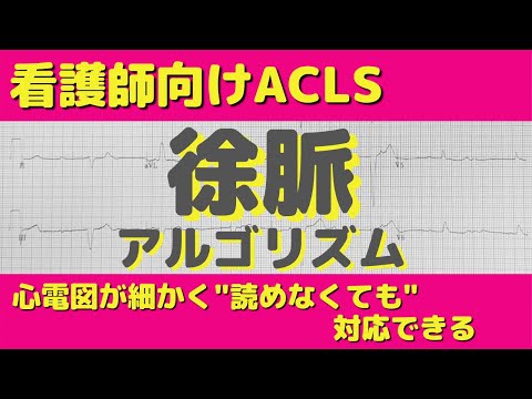 【看護師向けACLS】徐脈のアルゴリズムについて