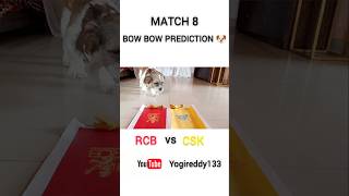 CSK vs RCB PREDICTION 😳💛❤️ | RCB vs CSK | #ipl #ipl2025 #cskvsrcb #rcb #royalchallengersbangalore