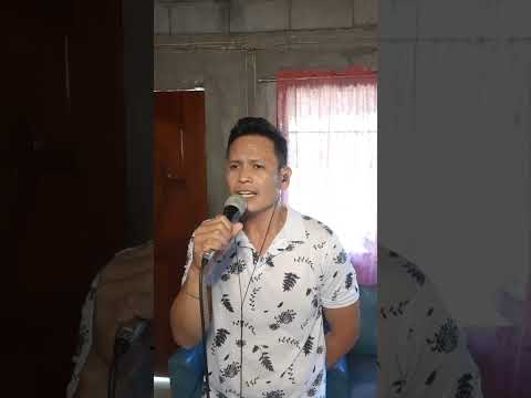 LEAVES by Ben&ben (cover)